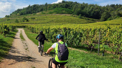 Stage VTT électrique en forêt