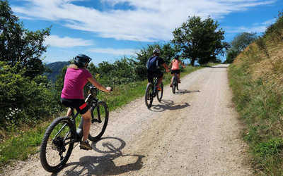 Stage VTT électrique en forêt