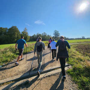 Marche nordique en Alsace Vosges