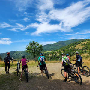 Stage VTT et VTTAE en Alsace Vosges